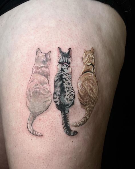 Cat Dedication Tattoo, Dead Cat Tattoo, Three Cats Tattoo, 3 Cats Tattoo, Cat Remembrance Tattoo, Realistic Cat Tattoo, Dedication Tattoos, Tatts Ideas, Cat Portrait Tattoos