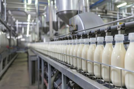 Production line of milk and yogurt at dairy processing plant royalty free stock images Milk Processing Plant, Milk Ideas, Milk Factory, Factory Photography, Milk Processing, Milk Dairy, Dairy Industry, Production Line, Project Nursery