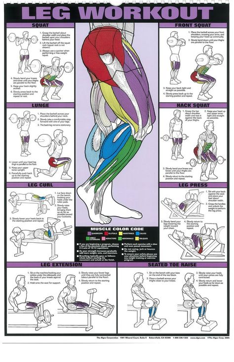 Fitness Chart, Leg Workouts Gym, Workout Gym Routine, Trening Sztuk Walki, Gym Workout Planner, Gym Antrenmanları, Training Fitness Gym, Gym Workout Chart, Gym Workouts For Men