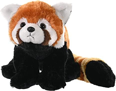 AmazonSmile: Wild Republic Red Panda Plush, Stuffed Animal, Plush Toy, Kids Gifts, Cuddlekins, 12 Inches : Toys & Games Red Panda Plush, Moodboard Pics, Brown Panda, Panda Stuffed Animal, Panda Plush, Red Pandas, Cuddly Toy, Cute Stuffed Animals, Red Panda