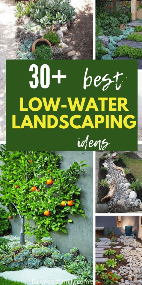 Water Resistant Landscaping, Water Smart Landscaping Front Yards, Landscape Ideas Beach, Waterless Garden Ideas, Water Garden Ideas Landscaping, No Plants Landscaping Ideas, Water Efficient Landscaping, Water Wise Garden, Dry Riverbed Landscaping Front Yard