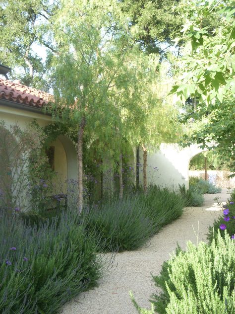 Organic Outdoor Design, Mediterranean Inspired Landscaping, Mediterranean Climate Landscape, Medditeranean Landscape Front Yards, Modern Organic Landscape Design, Mediterranean Inspired Garden, Mederteranian Garden, French Landscape Design, Mediterranean Fence