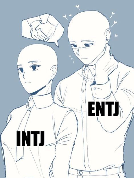 Entj Relationships, Fun Facts Mind Blown, Intj T, Understanding Emotions, Personality Psychology, Intj Intp, Intj Personality, Mbti Relationships, Mbti Character