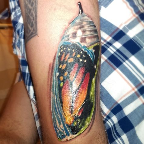 My latest #tattoo. Butterfly in a chrysalis. In honor/memory of my grandmother. #metamorphosis #growth Cocoon Tattoo Butterfly, Chrysalis Tattoo, Butterfly Chrysalis Tattoo, Butterfly Metamorphosis Tattoo, Butterfly Tattoo Metamorphosis, Caterpillar Metamorphosis, Caterpillar Cocoon Butterfly Tattoo, Metamorphosis Tattoo, Butterfly Metamorphosis