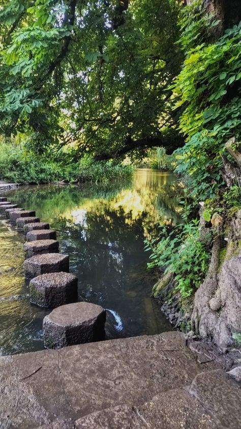 stepping stone bridge over a river #steppingstones #bridge #river #nature #trees #plants #water #green #rocks Green Rocks, Outside Inspiration, Rock River, Food Hub, Stone Bridge, Magical Land, Background Check, Well Lights, Home Design Inspiration