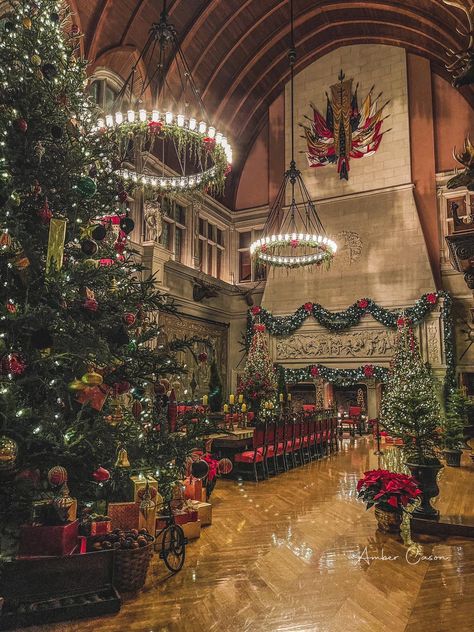 Christmas At The Biltmore Estate, The Biltmore Estate Christmas, Biltmore Estate Aesthetic, Biltmore Aesthetic, Biltmore Estate Library, Old Money Christmas, Biltmore Estate Christmas, Biltmore Christmas, Hp Christmas