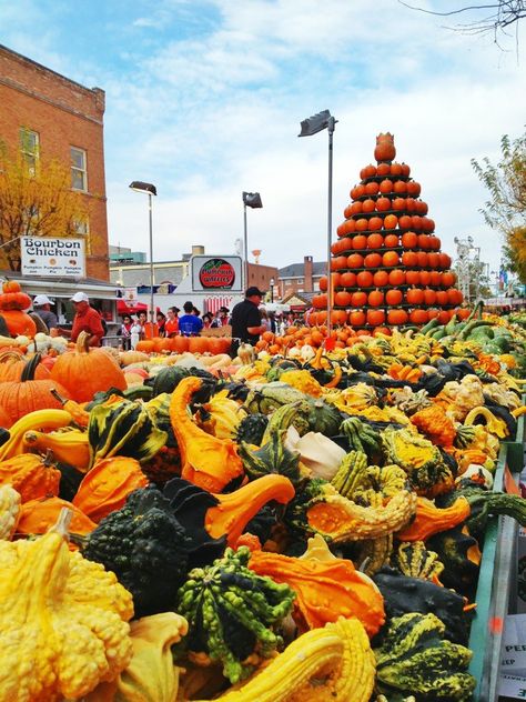 It’s been called the Greatest Free Show on Earth. It’s been happening for 106 years. More than 400,000 people from all 50 states flock there. The whole shebang is capped off by an absolutely enormous pumpkin. The Circleville Pumpkin Show is happening RIGHT NOW, just 30 minutes south of Columbus! Go for the fun, the [...] Circleville Pumpkin Show, Circleville Ohio, Pumpkin Show, Ohio Buckeyes, Fall Ball, Pumpkin Festival, Fair Food, Fair Food Recipes, All 50 States