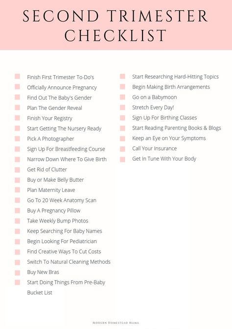 Sofia Grace, Trimester Checklist, Third Trimester Checklist, Trimester By Weeks, Pregnancy Checklist, Baby Checklist, Baby Planning, Second Trimester, Birth Plan