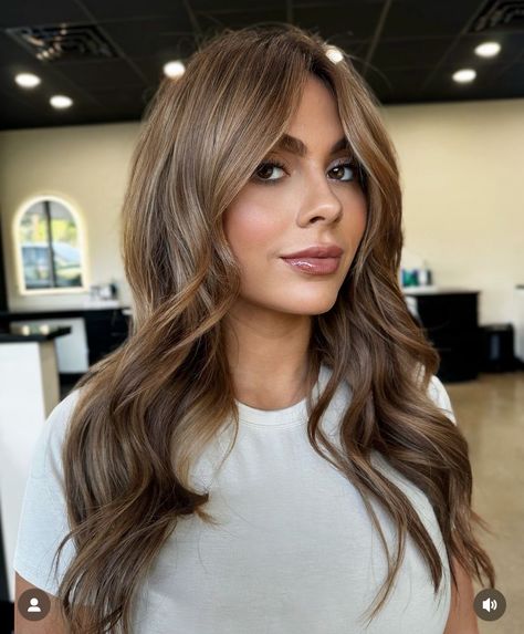 Level 6 Natural Hair Color, Darker Toned Blonde Hair, Dimensional Honey Brunette, Fall Hair Colors For Green Eyes, Natural Beige Hair, Brunette Vs Blonde Before And After, Haley Bieber Hair, Honey Bronde Balayage Brunettes, Fall/winter Hair