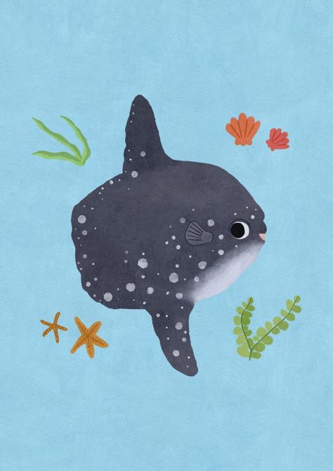 This lovely sunfish aka the mola mola loves swimming at the surface of the water and munching jellyfish. This us an original digital artwork in the style of gouache and coloured pencils by Rachel Chia (TopyCo). Designs up on RedBubble and Society6! Sunfish Illustration, Ocean Animal Illustration, Osaka Aquarium, Shark Whale, Jellyfish Illustration, Mola Mola, Ocean Illustration, Fish Illustration, Coloured Pencils