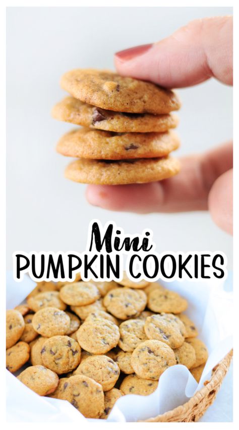 Mini pumpkin cookies because everything in miniature is better! Loaded with mini chocolate chips these are so fun to eat! One batch makes 100 itty bitty cookies! Pumpkin Cookies With Cake Mix, Spice Desserts, Easy Pumpkin Cookies, Soft Pumpkin Chocolate Chip Cookies, Cookies With Cake Mix, Pumpkin Cake Mix Cookies, Chocolate Pumpkin Bread, Healthy Pumpkin Dessert, Pumpkin Cookies Easy