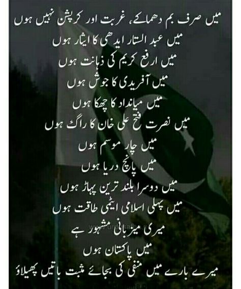 #Positive Pakistan❤ Poetry About Pakistan, Pakistan Quotes, Simple Mehndi Dresses, Flag Pakistan, Pakistan Country, Independence Day Speech, Happy Independence Day Pakistan, Muhammad Ali Jinnah, Pakistan Pictures