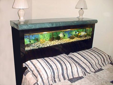 Bed frame fish tank!!! Aquarium Bed, Fish Bowl Centerpiece Wedding, Aesthetic Fish Tank, Aesthetic Fish Tank Ideas, Aquarium Coffee Table, Aesthetic Fish, Fish Tank Ideas, Amazing Aquariums, Diy Fish Tank