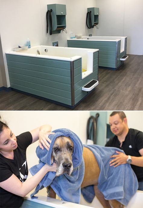 Dog Drying Station, Dog Hotel Ideas, Cute Dog Stuff, Daycare Design, Dog Washing Station, Dog Spa, Dog Grooming Salons, Dog Hotel, Pet Spa