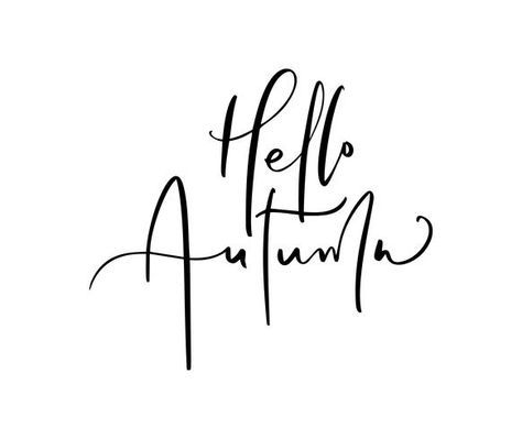 Hello Autumn lettering calligraphy text isolated on white background. Hand drawn vector illustration. Black and white poster design elements Calligraphy Text, Hand Drawn Vector Illustrations, Branding Photoshoot Inspiration, Hand Drawn Vector, Black And White Posters, Branding Photoshoot, Hello Autumn, Vector Photo, Photoshoot Inspiration