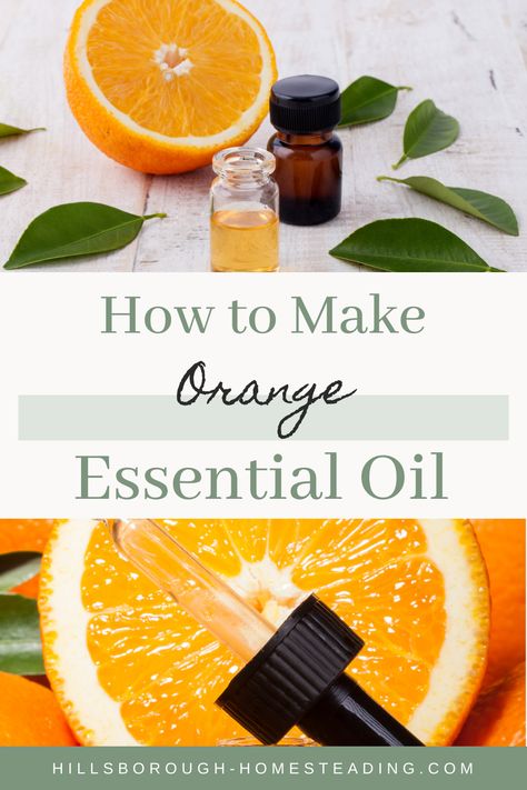 Infused Oil Recipes, Home Apothecary, How To Make Orange, Homemade Essential Oils, Diy Essential Oil Recipes, Making Essential Oils, Be Powerful, Essential Oils Guide, How To Make Oil