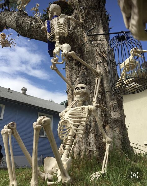 Funny Halloween Skeletons, Skeleton Shenanigans, Skeleton Ideas, Halloween Lawn, Halloween Diy Outdoor, Halloween Skeleton Decorations, Halloween Outside, Hallowen Ideas, Halloween Yard Decorations