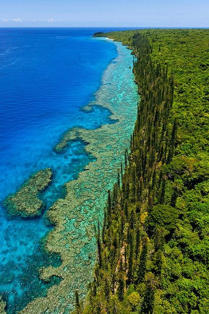 Côtes de la Nouvelle-Calédonie #NewCaledonia Beautiful Coastline, Nice Art, The Coral, Travel South, New Caledonia, Tropical Island, South Pacific, Beautiful Place, Aerial Photography