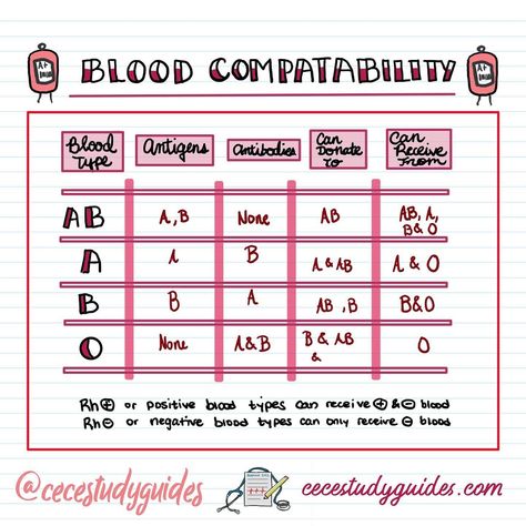 🩸 When you think of blood transfusions, I’m sure you imagine that bright red bag of RBCs, but there’s a few other blood products that can be just as life saving. Do you know them and their indidcations?🩸 Swipe to learn more about blood transfusions and the makeup of blood ➡️ @cecestudyguides Follow for more free nursing notes 📝 🩺 Neural Plasticity, Nursing School Studying Cheat Sheets, Medical Terminology Study, Nursing School Life, Nursing Study Tips, Nursing School Essential, Nursing Study Guide, Medical School Life, Nursing School Motivation