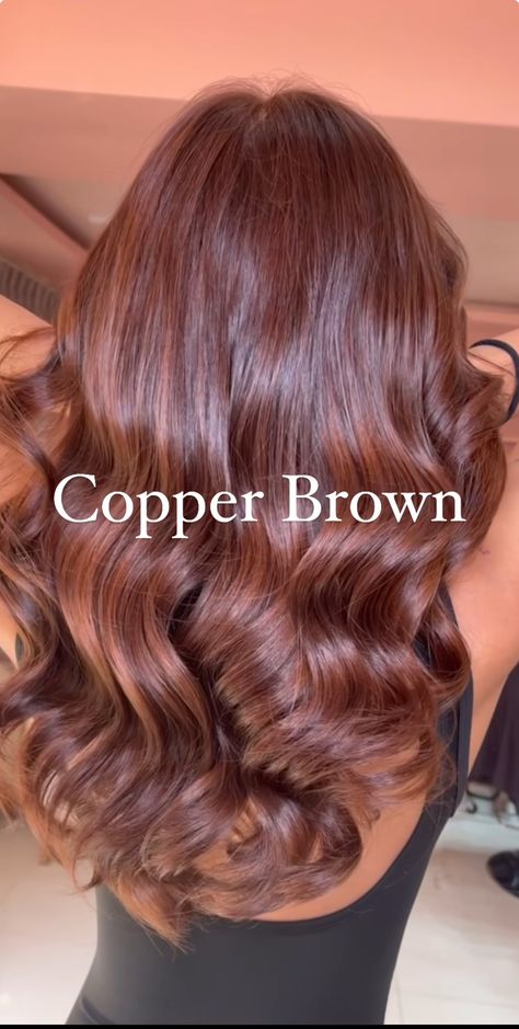 Dark Ginger Hair White Women, Light Brown Hair From Dark, Brown Hair Types Colour, Hair Dyed For Brown Skin, Reddish Brown Hair Color Ideas, Auburn Hair Colors With Highlights, Different Brown Highlights, Short Front Layers Medium Hair, Non Bleach Red Hair