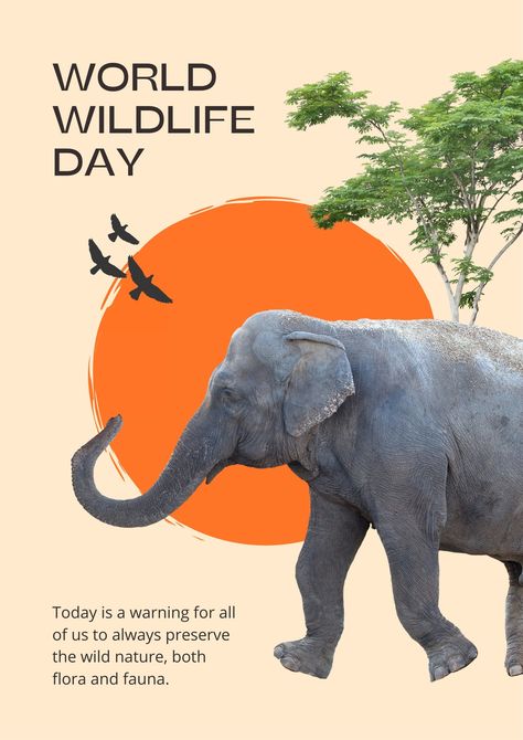 World Elephant Day Poster, Safari Poster Design, Zoo Brochure Design, Save Animals Poster Design, Jiji Background, Animal Day Poster, Zoo Advertising, Wildlife Day Poster, Wildlife Infographic