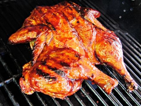 Grilled-BBQ-Whole-Chicken-Butterflying-Spatchcocked-6 Chicken On Bbq, Bbq Whole Chicken, Bbq Weber, Barbecue Sauce Chicken, Cooking Whole Chicken, Spatchcock Chicken, Weber Bbq, Cheesy Chicken Broccoli, Broiled Chicken