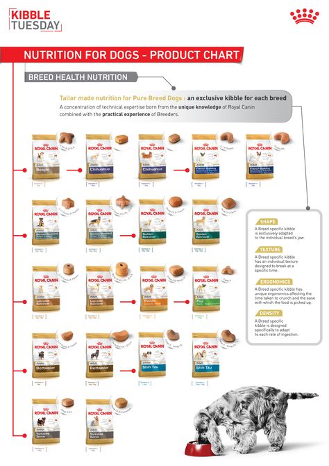 Know the right nutrition to give your dogs with Royal Canin product chart. Dog Nutrition Homemade, Nutritional Yeast Benefits, Make Dog Food, Pregnant Dog, Royal Canin, Dog Nutrition, Dog Diet, Nutrient Rich Foods, Nutrition Guide