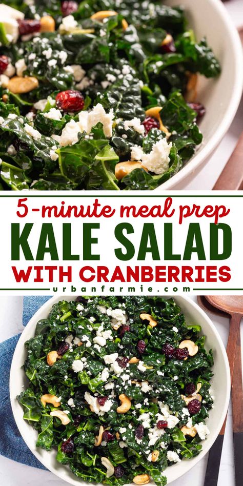 A spring salad idea for beginners! Your Memorial Day dinner recipes must have this kale cranberry salad. In just 5 minutes, you can have this easy kale salad with cranberries, lemon, and nuts! Red Kale Salad, Kale Recipes Salad, Kale Cranberry Salad, Memorial Day Dinner, Cranberry Kale Salad, Spring Recipes Vegetarian, Easy Kale Salad, Salad With Cranberries, Veggie Side Dish Recipes