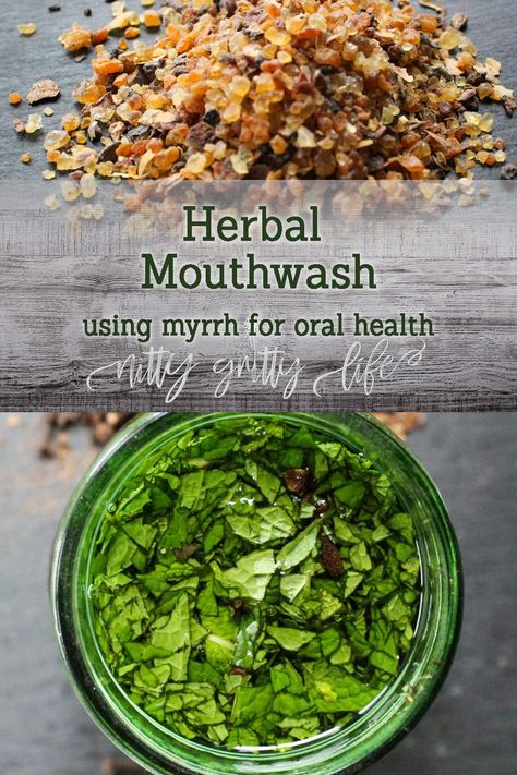 Myrrh offers anti-microbial & anti-inflammatory properties making it excellent for supporting oral health, in turn supporting digestive & total health. #oralhealth #digestivehealth #herbalism #herblamedicine Herbal Mouthwash, Mouthwash Recipe, Bitter Herbs, Digestive Herbs, Dental Health Month, Dental Health Care, Teeth Health, Ketogenic Diet For Beginners, Gum Care