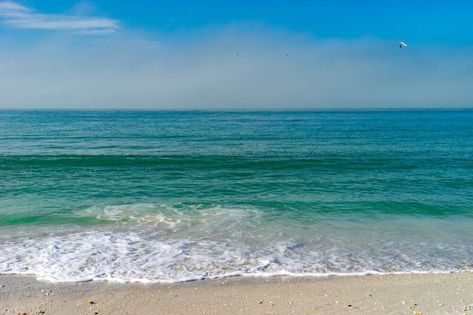 Situated in the Northern Region of St. Pete, you'll find the gorgeous blue waters of Upham Beach Park. Beach In Florida, Tampa Bay Area, St Pete Beach, Beach Park, Hidden Beach, Evening Sky, Fun In The Sun, Gulf Of Mexico, White Sand Beach