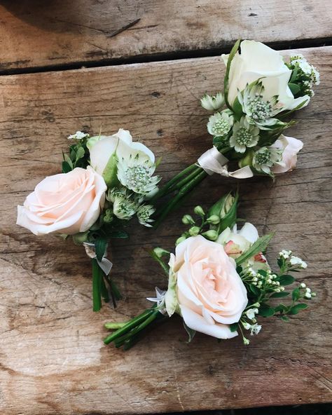 Grace [Bramble & Wild] on Instagram: “The cutest little bouts of Jana & Porcelina spray roses from Saturday. - #boutonniere #buttonhole #somersetwedding #blushpinkwedding…”