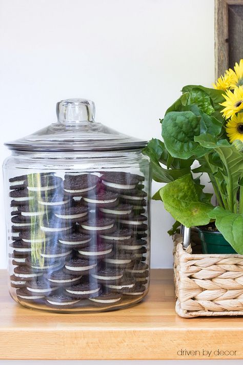 Karadashian cookie jar with stacked Oreos Cookies Stacked In A Glass Jar, Oreos In A Jar Decoration, Cookies In Jars Display, Oreo Cookie Display Ideas, Oreo Cookie Display, Oreo Display Ideas, Oreo Cookie Jar Display, Glass Cookie Jars Display, Talenti Container Ideas