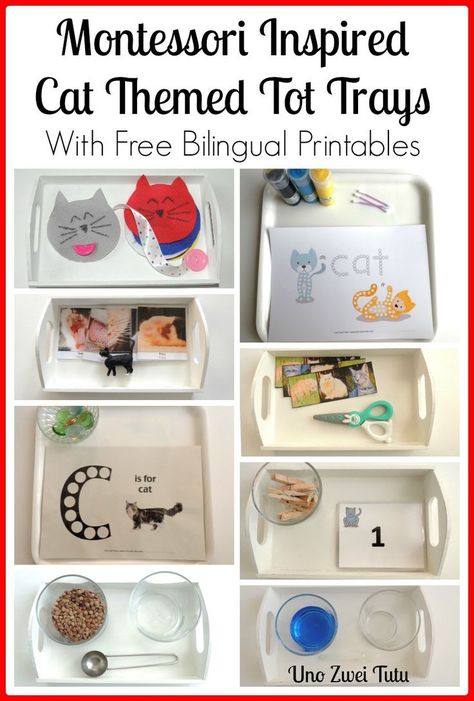 Montessori Inspired Cat Themed Trays for Toddlers and Preschoolers. With free printables in Spanish, English and Bilingual. Tot Trays, Animals Activities, C Is For Cat, Animal Activities For Kids, Pets Preschool Theme, Preschool Schedule, Reading Club, Montessori Ideas, Teaching Toddlers