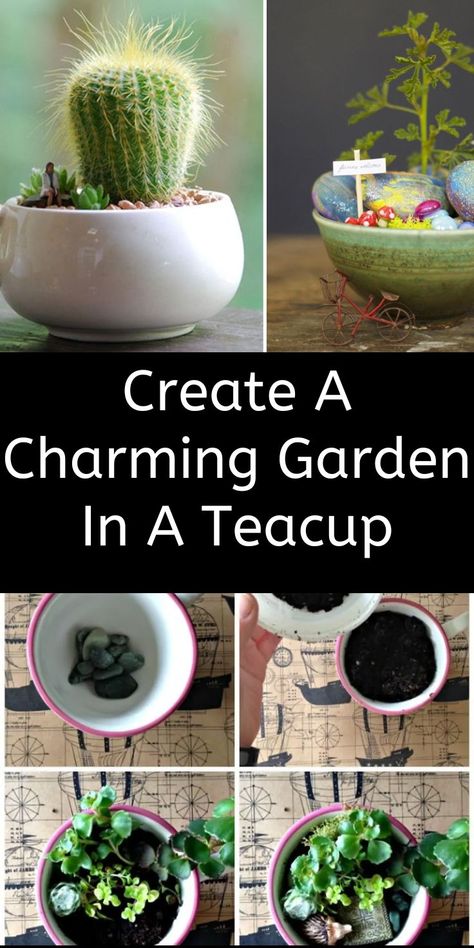 Cute Teacups, Tea Cup Projects, Fairy Teacup Garden, Fairy Teacup, Tea Cups Diy, Sister Crafts, Teacup Gardens, Teacup Crafts, Miniature Gardens