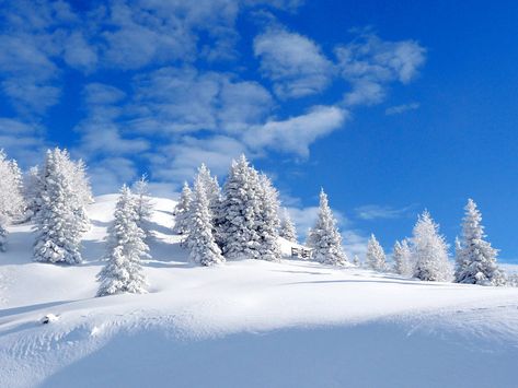 snow paradise by mareika on DeviantArt Snow Clouds, Snow Trees, Snow Photography, Winter Images, Winter's Tale, I Love Winter, Winter Photos, Affinity Designer, Winter Magic