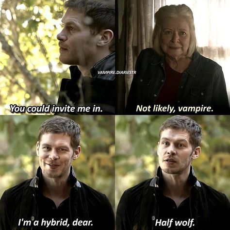 Hybrid Vampire Werewolf, Werewolf Hybrid, Vampire Hybrid, Vampire And Werewolf, Vampire Werewolf, Twilight Fanfiction, The Mikaelsons, Wolf Hybrid, Original Memes