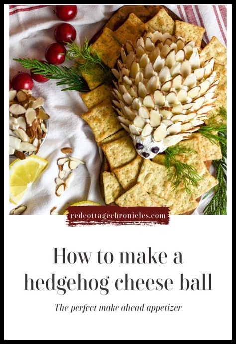 Hedgehog Dip Cheese Ball Recipe, Cheese Ball Hedgehog, Hedge Hog Cheese Ball Recipe, Owl Cheese Ball, Hedgehog Cheese Ball Woodland Party, Hedgehog Appetizer, Hedgehog Cheeseball Recipe, Porcupine Cheeseball, How To Make A Cheese Ball