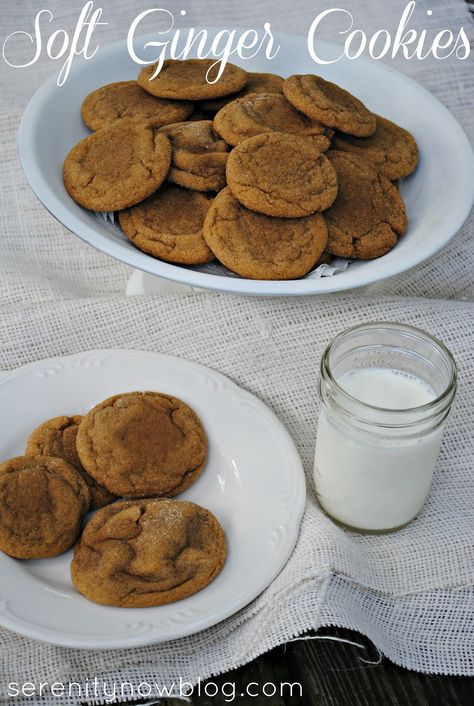 Soft Ginger Cookie Recipe (easy and inexpensive) from Serenity Now. A great gift for expecting moms with morning sickness Ginger Cookie Recipe, Winter Torte, African American Mermaid, Ginger Recipe, Soft Ginger Cookies, Ginger Cookie Recipes, Serenity Now, Ginger Cookies, Viewing Party