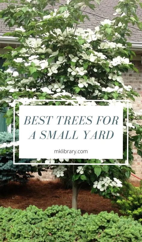 Dogwood Tree Landscaping, Small Landscape Trees, Japanese Maple Tree Landscape, Maple Tree Landscape, Colorful Backyard, Trees For Front Yard, Eastern Redbud, Backyard Sanctuary, Patio Trees