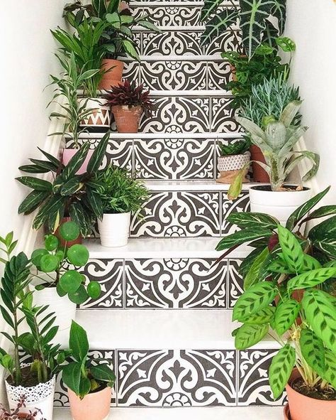 plant stairs Tile Steps, Tile Stairs, Plant Problems, Outdoor Stairs, Stair Decor, Coastal Living Rooms, Decoration Plante, Stairs Design, Coastal Living