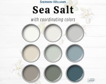 Sherwin Williams Sea Salt Palette, Coastal Palette, Fresh Color Palette, Whole House Paint Scheme, Complementary Coastal House Paint Palette - Etsy Boho Paint Colors, Interior Paint Schemes, Sherwin Williams Sea Salt, Modern Farmhouse Paint Colors, Farmhouse Color Palette, Agreeable Gray Sherwin Williams, Sea Salt Sherwin Williams, Sherwin Williams Gray, Black Paint Color