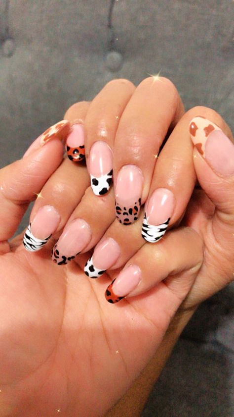 Nails Inspo, Beauty Nails, Nail Design, Nail Inspo, South Africa, Animal Print, Nail Designs, Nail Art, Nails