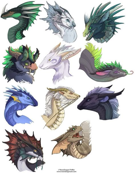 Dragon Heads 1 by neondragon on DeviantArt Dory Drawing, Dragon Poses, Drawing Dragon, Head Sketch, Dragon Heads, Sketch Dump, Dragon Sketch, Creature Drawings, Dragon Pictures