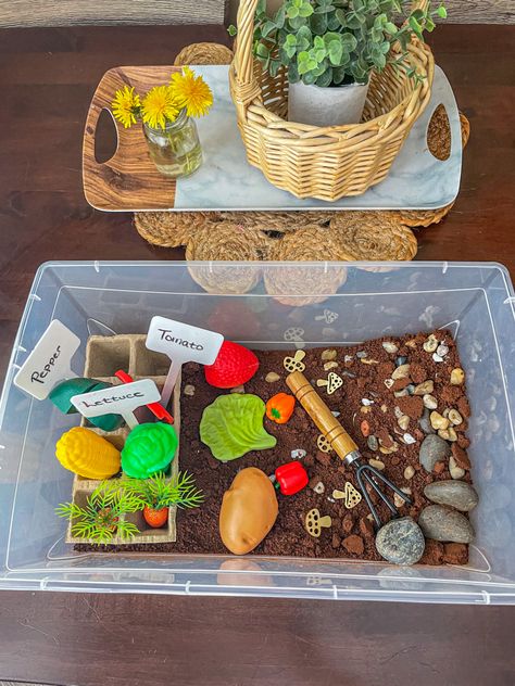 𝔻𝕖𝕧𝕖𝕝𝕠𝕡𝕞𝕖𝕟𝕥 𝔹𝕚𝕟 • 🍅🥬🌽🥕🥔👩‍🌾 First day of summer sensory bin. Gardening. Base is instant coffee. Instagram/Facebook : developmentalbins • • • • • • • • • #sensoryplay #montessori #learningthroughplay #montessoriathome #sensoryplayideas #playbasedlearning #toddleractivities #earlylearning #invitationtoplay #easter #kidsactivities #sensory #play #finemotorskills #sensorybin #kids #sensoryactivity #messyplay #preschoolactivities #playideas #playmatters #playathome #toddlermomlife Food Play Sensory, Play Food Sensory Bin, Sensory Bins For Fine Motor Skills, Farmers Market Sensory Bin, Vegetable Sensory Bin, Nutrition Sensory Bin, Coffee Sensory Bin, Fruit And Vegetable Activities, Gardening Sensory Bin