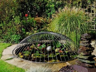 Pond Cover Ideas, Pond Covers, Beautiful Pond, Koi Pond Design, Modern Gardens, Goldfish Pond, Garden Pond Design, Turtle Pond, Diy Pond