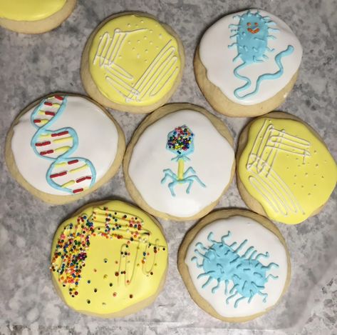 I made some microbiology sugar cookies for an old professor of mine! E. coli, N. gonorrhoeae, bacteriophage, DNA, and colonies on agar. She told me she loved them. : labrats Microbiology Cookies, Bacteriophage Model, Microbiology Humor, Medical Cookies, Lab Week, Science Party, Birthday Party Theme Decorations, Medical Laboratory, School Snacks