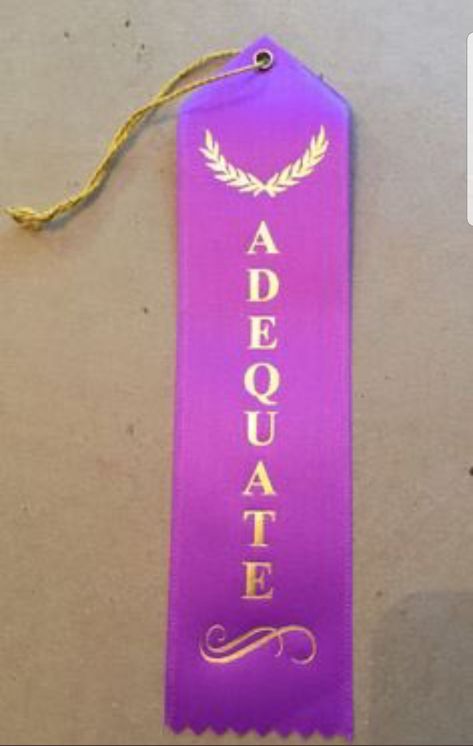 Once I learned I could just buy participation ribbons, I became much more outgoing. Adult Party Favors, Participation Award, Funny Awards, Award Ribbon, Party Favors For Adults, Pinterest Humor, Flower Farmer, Shop Window Design, Shop Front Design