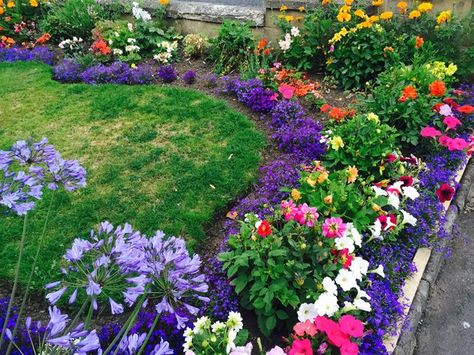 Flower Bed Landscaping Ideas, Flower Bed Landscaping, Bed Landscaping Ideas, Garden Ideas Uk, Colorful Flower Beds, Flower Bed Edging, Flower Bed Designs, Flower Landscape, Garden Pictures