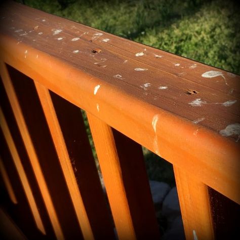 Homestead Hack: Easy Solution For Keeping Birds Off Railings Wood Porch Railings, Get Rid Of Pigeons, Outside House Decor, Front Porch Railings, Bird Deterrents, Patio Railing, Bird Repellents, Deck Paint, Wooden Porch