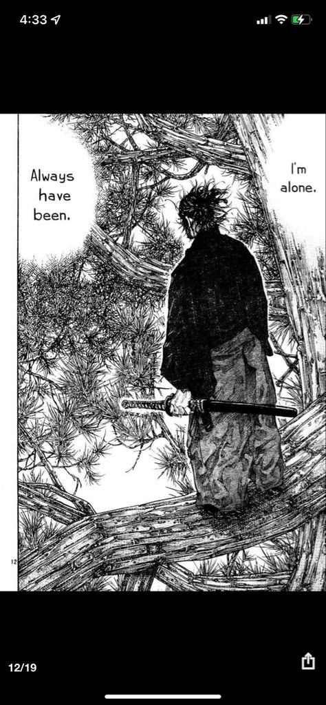 Miyamoto Musashi Art, Boichi Manga, Inoue Takehiko, Vagabond Manga, Samurai Artwork, Miyamoto Musashi, Samurai Art, Manga Panels, Good Manga